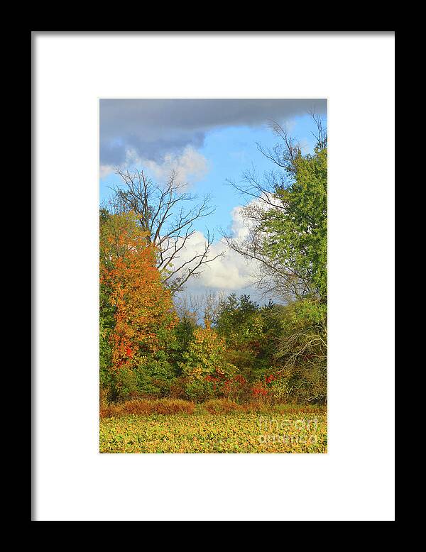 America Framed Print featuring the photograph Autumn Breeze Nature Art by Robyn King