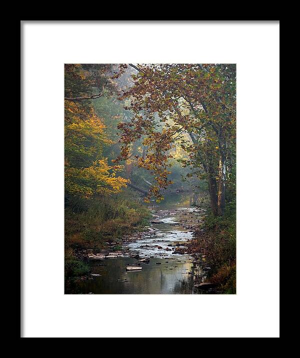 Autumn Framed Print featuring the photograph Autumn by the Creek by Elsa Santoro