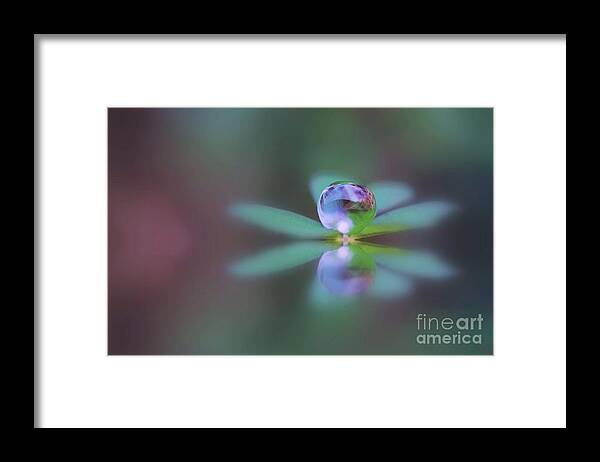 Doplets Framed Print featuring the photograph Autumn Clover Droplet by Kym Clarke