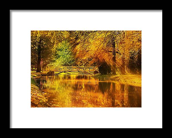 Morning Framed Print featuring the photograph Autumn colors by Ivan Vukelic