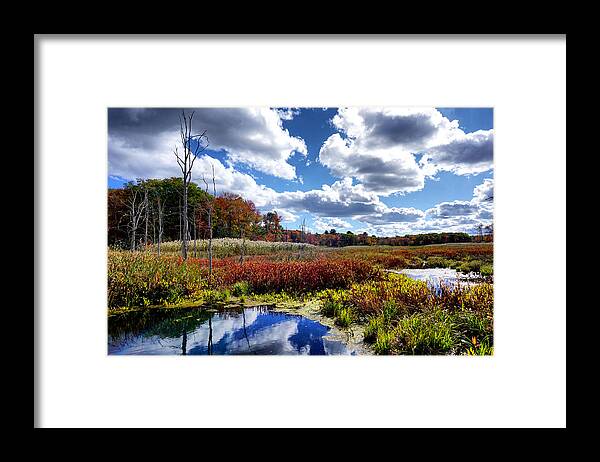October Framed Print featuring the photograph Autumn colors of swamp by Lilia S