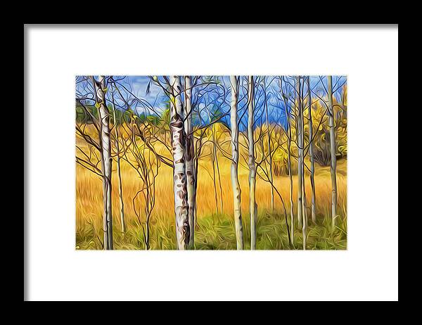 Autumn Framed Print featuring the photograph Autumn Colours by Theresa Tahara