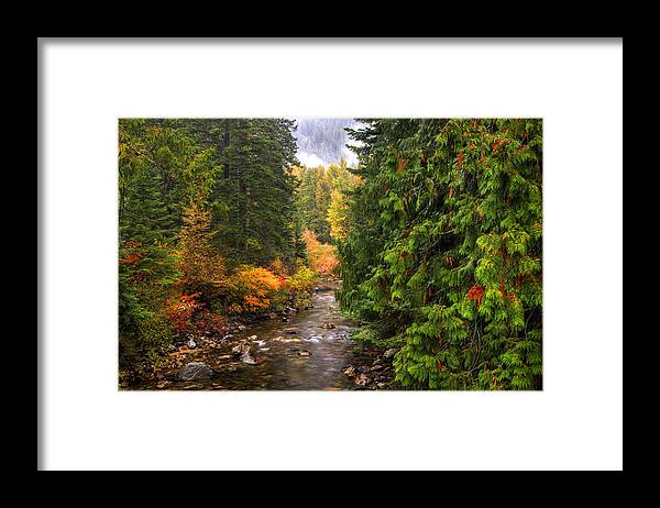 Autumn Framed Print featuring the photograph Autumn Creations by Eggers Photography