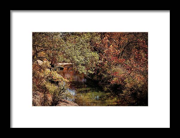 Autumn Framed Print featuring the photograph Autumn Creek by Judy Vincent
