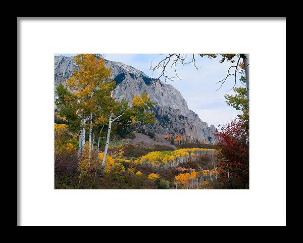 Colorado Art Framed Print featuring the photograph Autumn Days by Tim Reaves