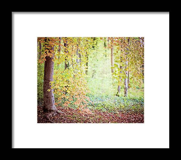 Autumn Framed Print featuring the photograph Autumn Dreams by Melanie Alexandra Price