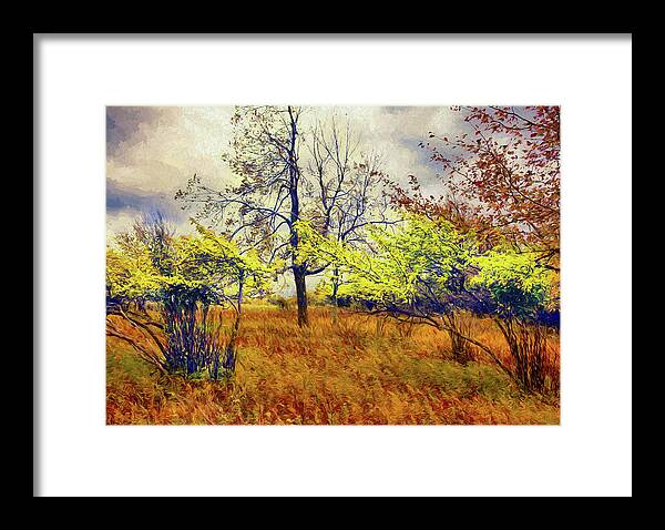 Autumn Framed Print featuring the painting Autumn Fall Colors - Shrubs, Ferns, and Stormy Skies AP by Dan Carmichael