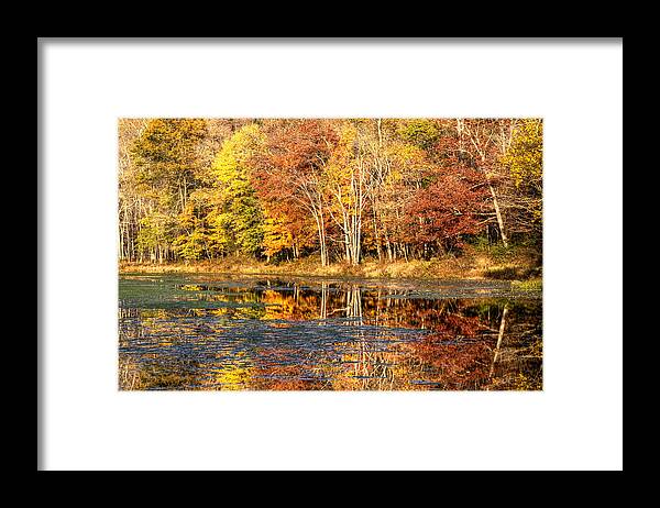 Autumn Framed Print featuring the photograph Autumn Foliage at White's Mill Preserve by Carol Senske