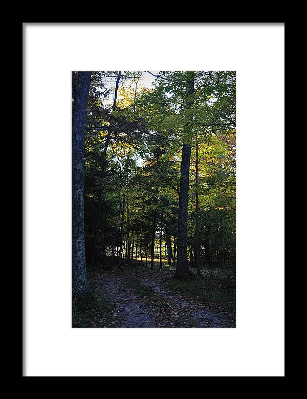Fall Framed Print featuring the photograph Autumn Glen by Tim Nyberg