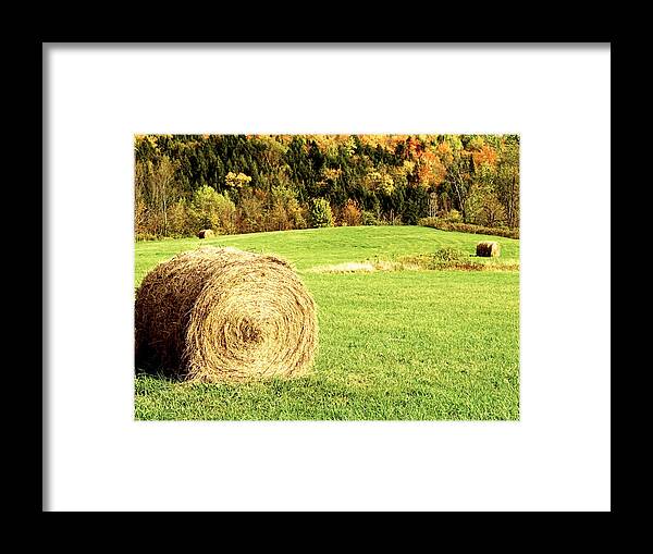 Hay Framed Print featuring the photograph Autumn Hay Bales by Sherry Curry