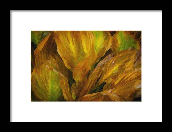 Cone Flowers Framed Print featuring the photograph Autumn Hostas by Tom Singleton