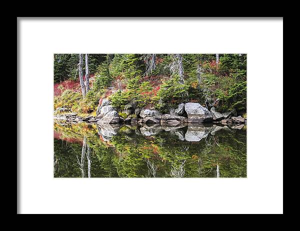 Autumn Framed Print featuring the photograph Autumn in Indian Heaven by Albert Seger