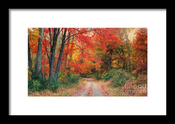 Autumn Framed Print featuring the photograph Autumn In New Jersey by Beth Ferris Sale
