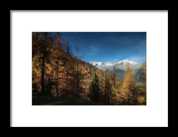 Autumn Framed Print featuring the photograph Autumn in South Tirol by Eva Lechner