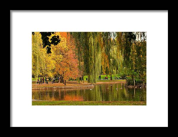 Boston Public Garden Framed Print featuring the photograph Autumn in the Garden by Paul Mangold