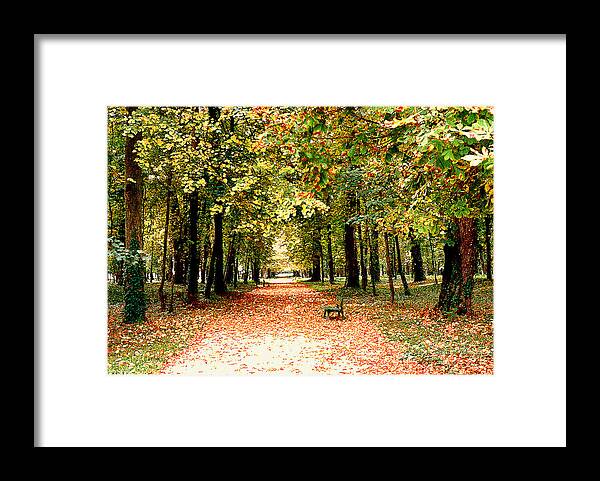 Autumn Framed Print featuring the photograph Autumn in the Park by Nancy Mueller