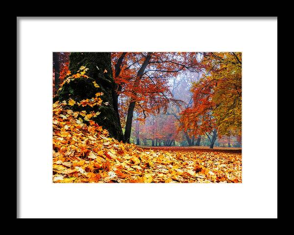 Autumn Framed Print featuring the photograph Autumn In The Woodland by Hannes Cmarits