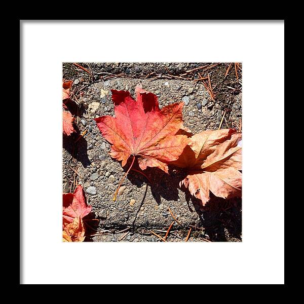 Leaves Framed Print featuring the photograph Autumn is Here by Blenda Studio
