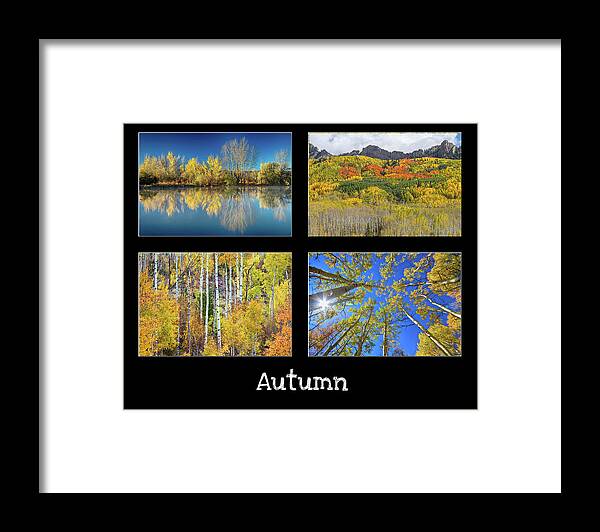 Colorado Framed Print featuring the photograph Autumn by James BO Insogna