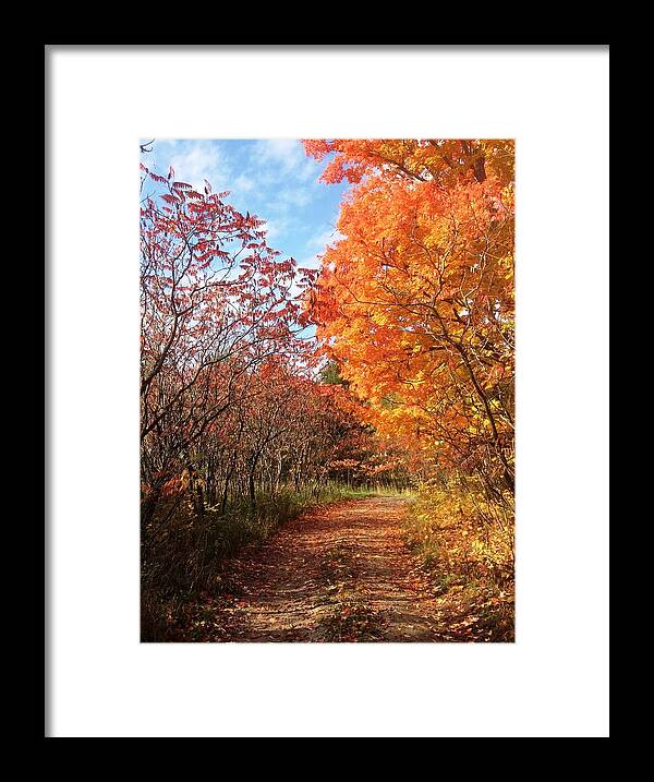 Fall Framed Print featuring the photograph Autumn Lane by Pat Purdy