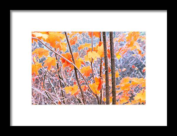 Autumn Framed Print featuring the digital art Autumn Leaves 2 PDAE by Lyle Crump
