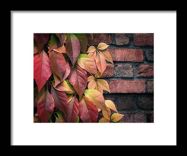 Autumn Framed Print featuring the photograph Autumn Leaves Against Brick Wall by Julie Palencia