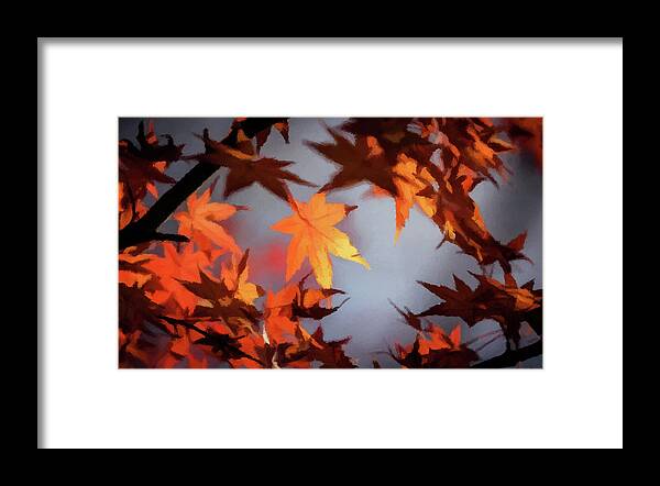 Autumn Framed Print featuring the photograph Autumn Leaves by David Dehner