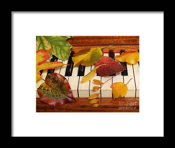 Piano Framed Print featuring the photograph Autumn Leaves Tickle the Ivories by Anna Lisa Yoder