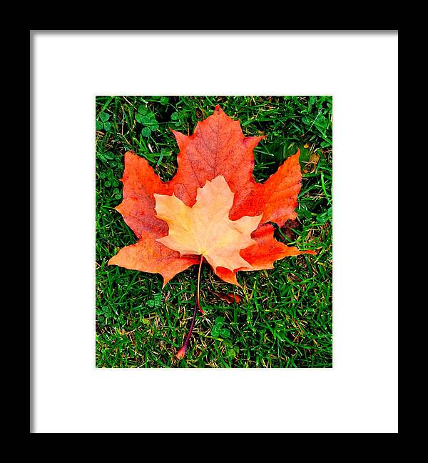 Nik Watt Framed Print featuring the photograph Autumn Leaves Two #2 by Nik Watt