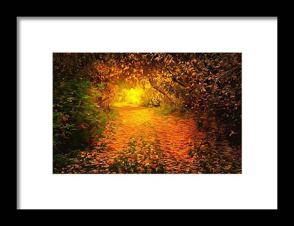 Autumn Framed Print featuring the digital art Autumn light by Lilia D