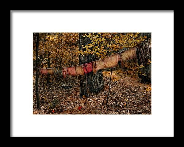 Autumn Framed Print featuring the photograph Autumn Linens by Robin-Lee Vieira