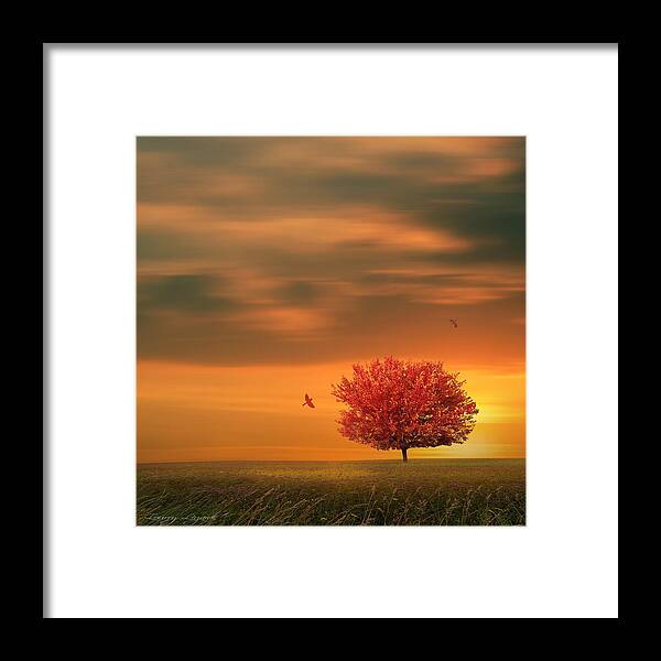 Four Seasons Framed Print featuring the photograph Autumn by Lourry Legarde