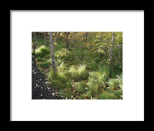 Nature Framed Print featuring the photograph Autumn by Marilynne Bull