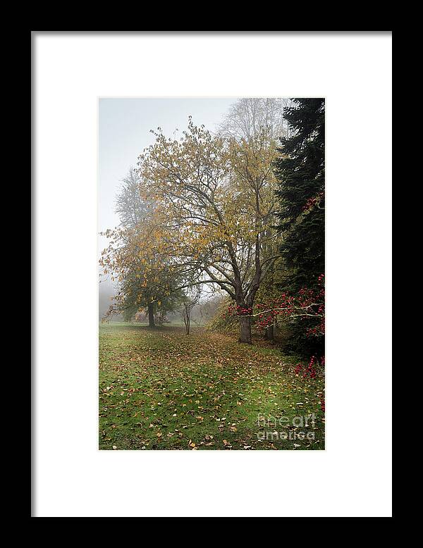 Red Berries Framed Print featuring the photograph Autumn Mist, Great Dixter Garden 2 by Perry Rodriguez