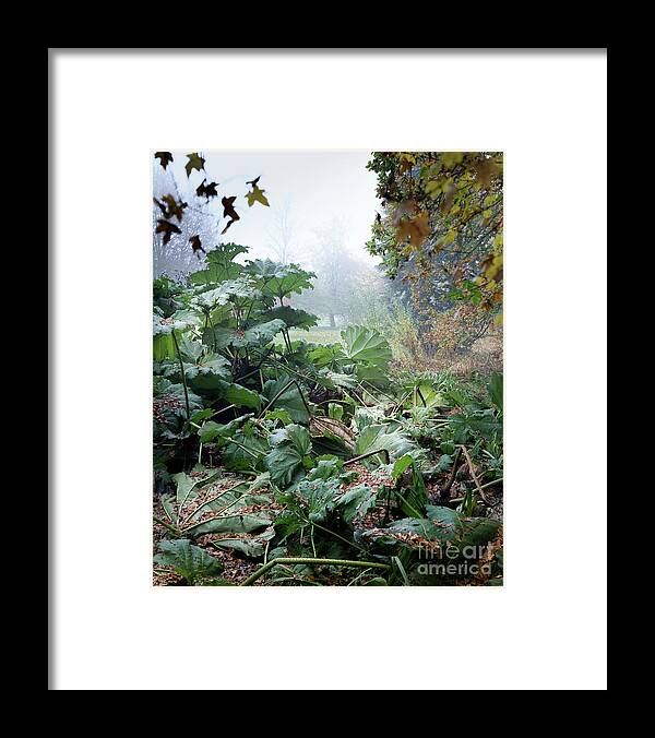 Autumn Framed Print featuring the photograph Autumn Mist, Great Dixter Garden by Perry Rodriguez