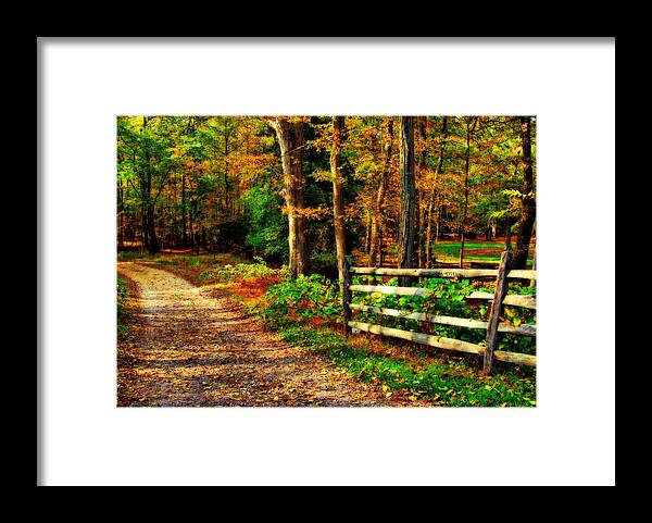 Autumn Framed Print featuring the photograph Autumn Moment - Allaire State Park by Angie Tirado
