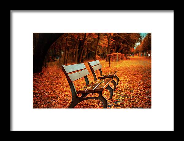 Orange Framed Print featuring the photograph Autumn Moments by Happy Home Artistry