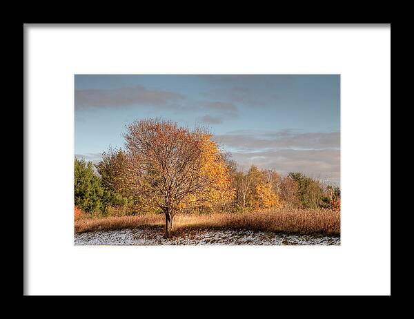  Autumn Framed Print featuring the photograph Autumn Morning by Ann Bridges