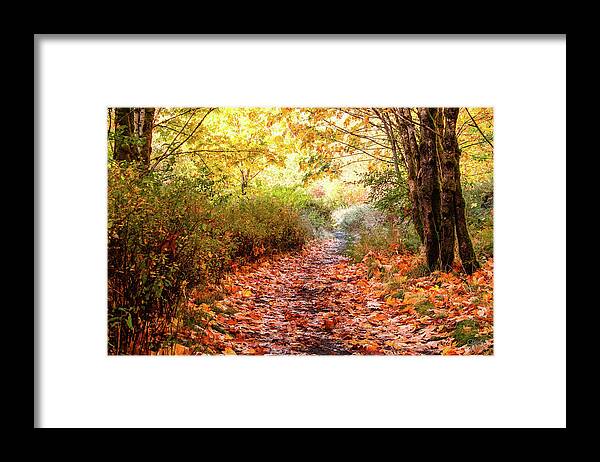 Landscapes Framed Print featuring the photograph Autumn Morning by Claude Dalley