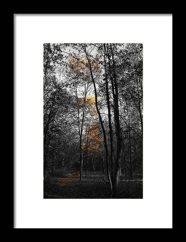 Autumn Morning Framed Print featuring the photograph Autumn Morning by Dylan Punke