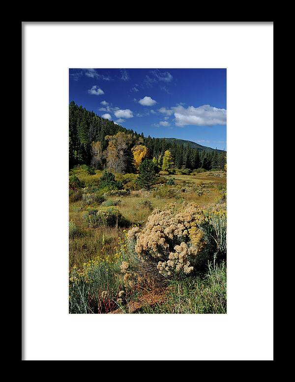 Landscape Framed Print featuring the photograph Autumn Morning In The Canyon by Ron Cline