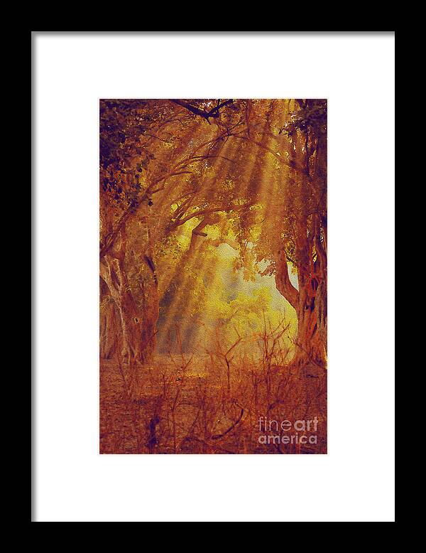Autumn Framed Print featuring the photograph Autumn Morning by Manjot Singh Sachdeva