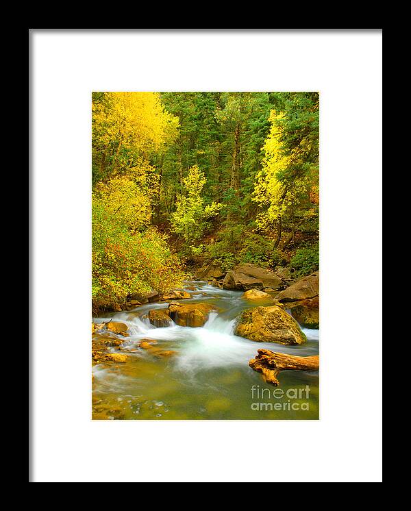 Utah Framed Print featuring the photograph Autumn on Big Cottonwood River by Dennis Hammer