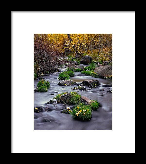 Landscape Framed Print featuring the photograph Autumn On Mill Creek by Paul Breitkreuz