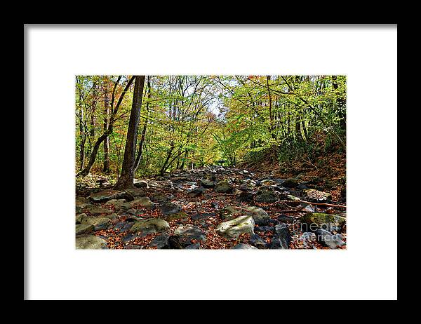 Fall Framed Print featuring the photograph Autumn On The Clifty Creek by Paul Mashburn
