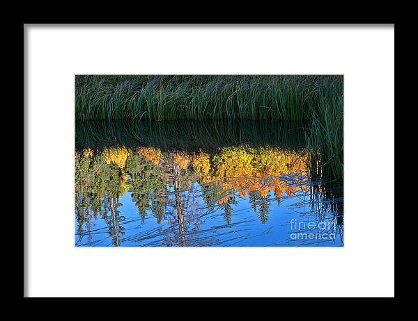 Fall Colors Framed Print featuring the photograph Autumn on the Lake by Jim Garrison