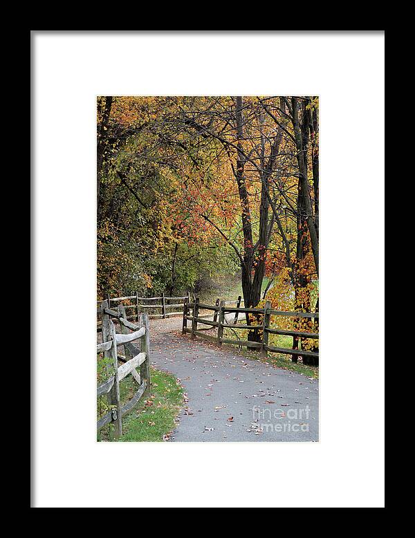 Autumn Framed Print featuring the photograph Autumn Path in Park in Maryland by William Kuta