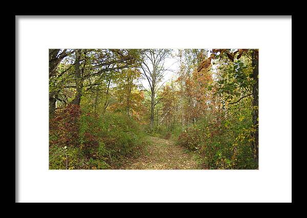 Autumn Framed Print featuring the photograph Autumn Path by Kimberly Mackowski