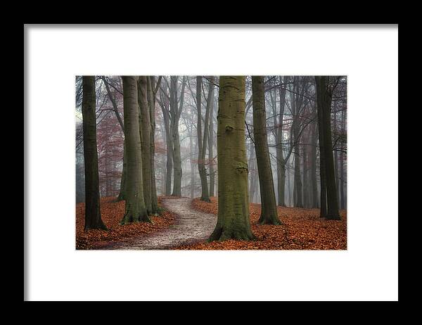 Autumn Framed Print featuring the photograph Autumn Path by Martin Podt