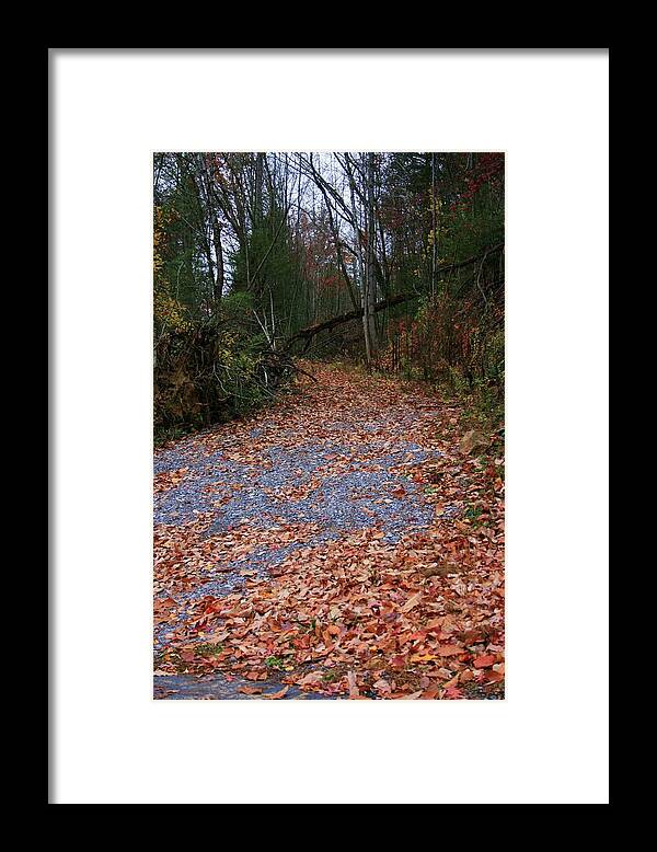 Photo For Sale Framed Print featuring the photograph Autumn Path by Robert Wilder Jr